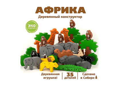 Конструктор «Африка», 35 элементов
